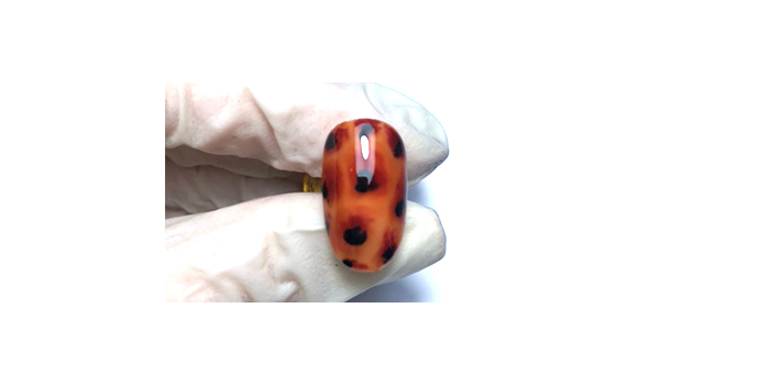 Tortie nails using crystal nails products
